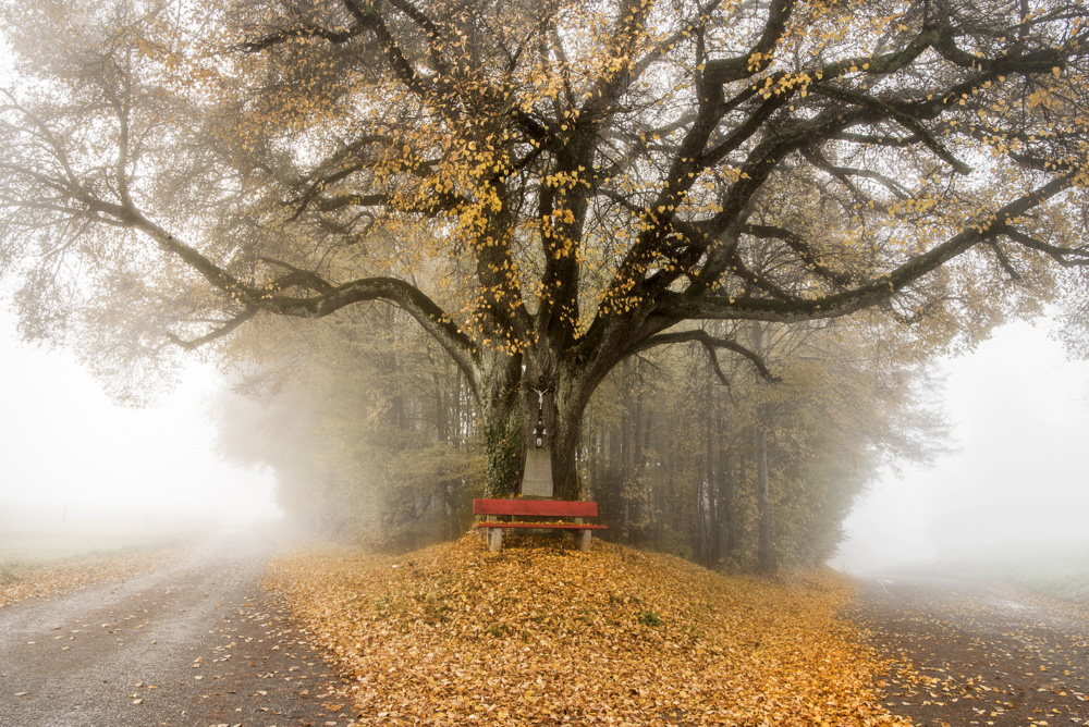 2. Platz Karoline Thalhofer